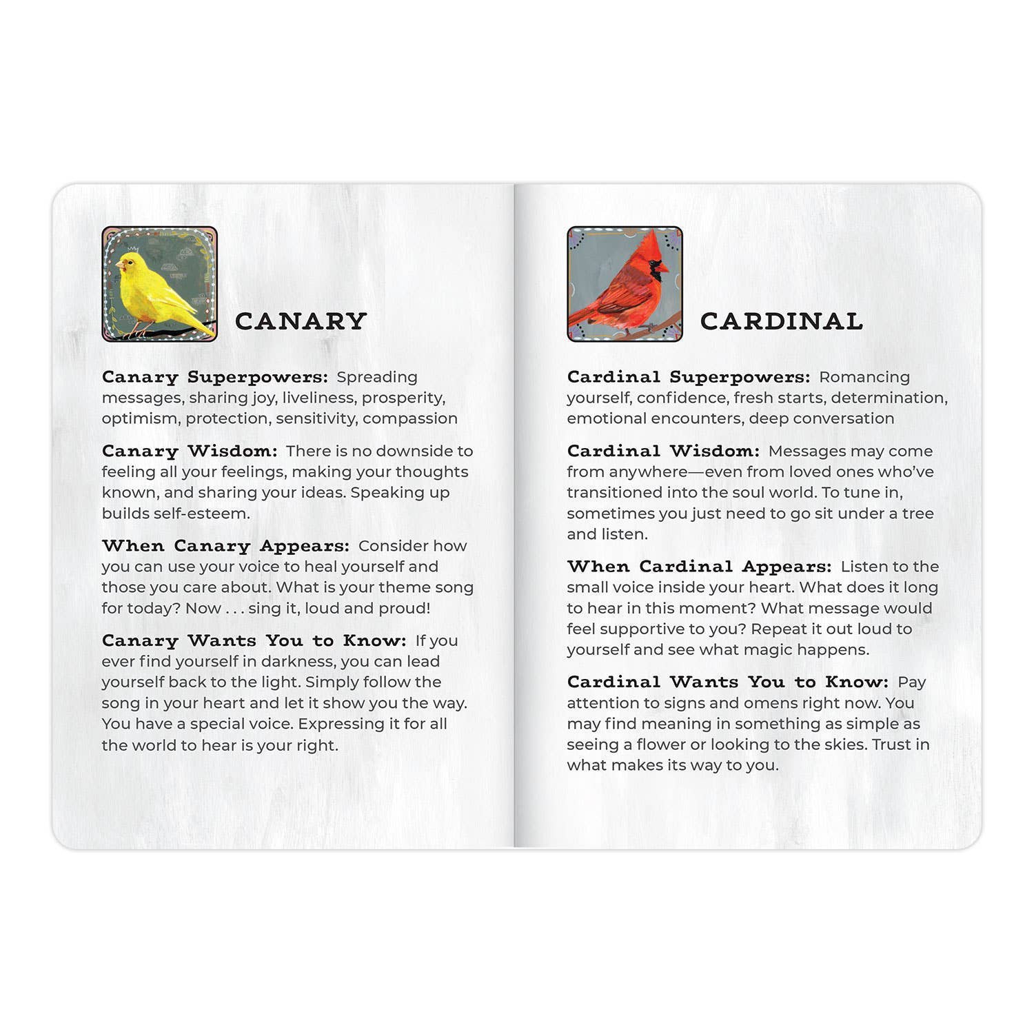 Animal Allies Birds Oracle - Image 8