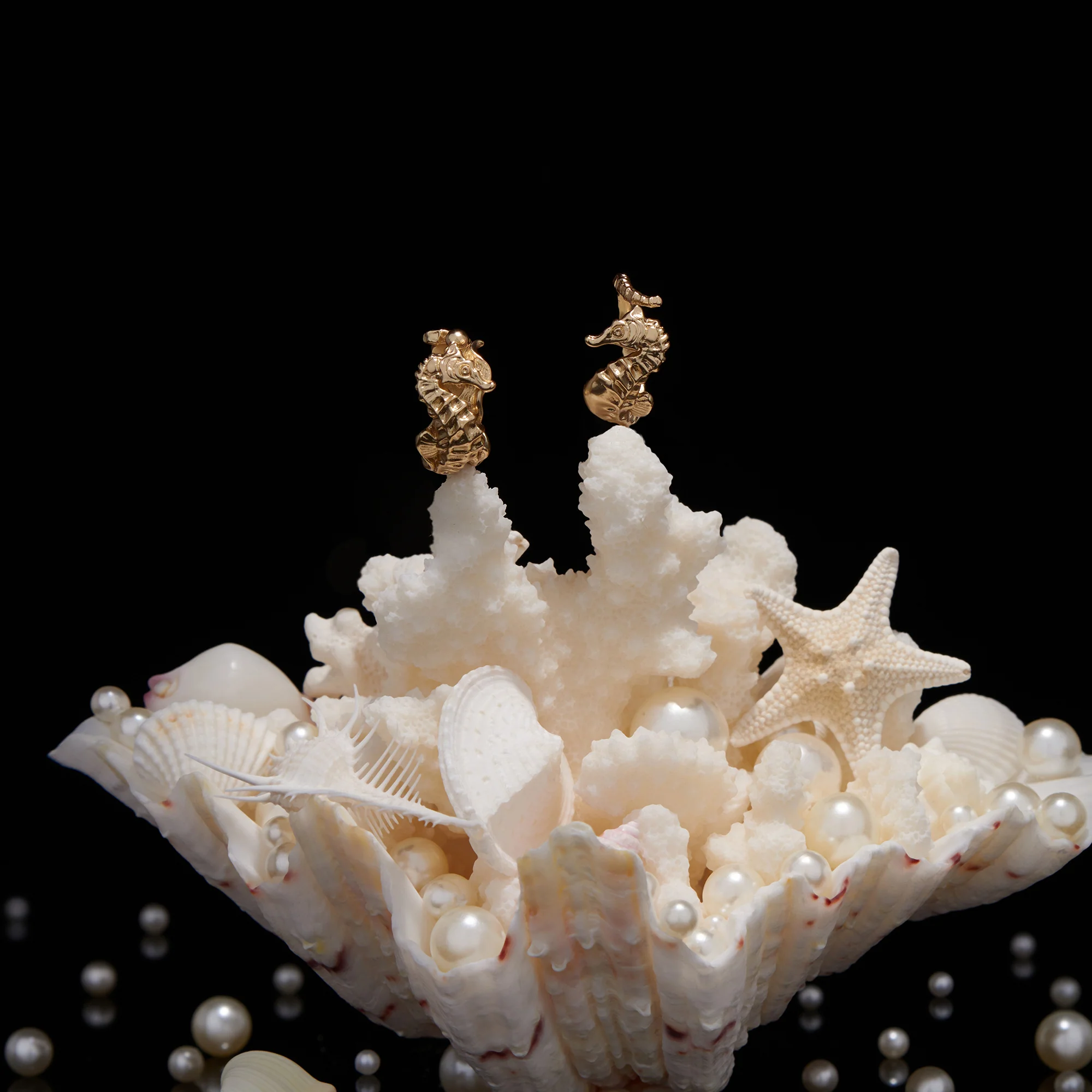 daparo Creature Jewelry Sets "Longnose Seahorse" - Image 3