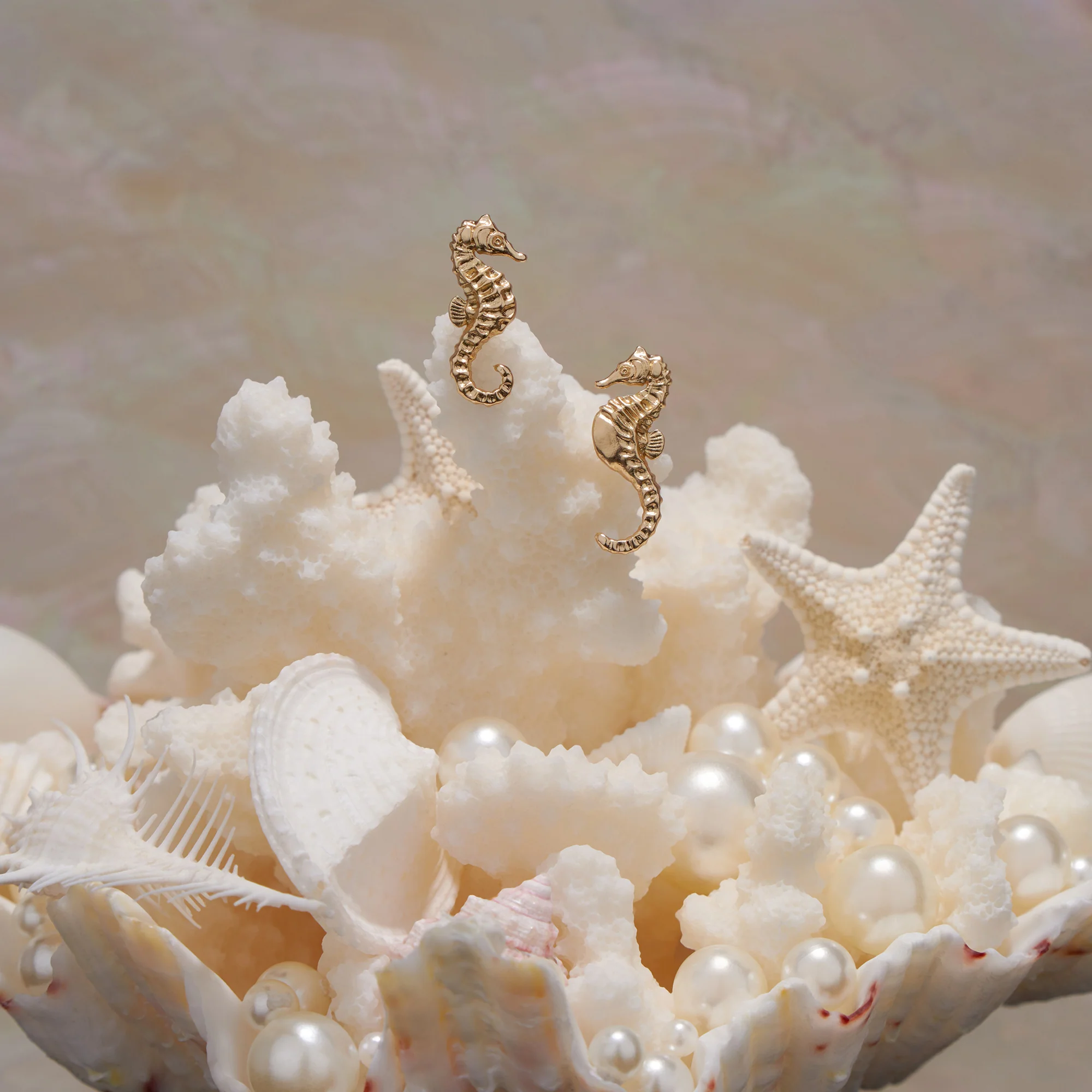 daparo Creature Jewelry Sets "Longnose Seahorse" - Image 6