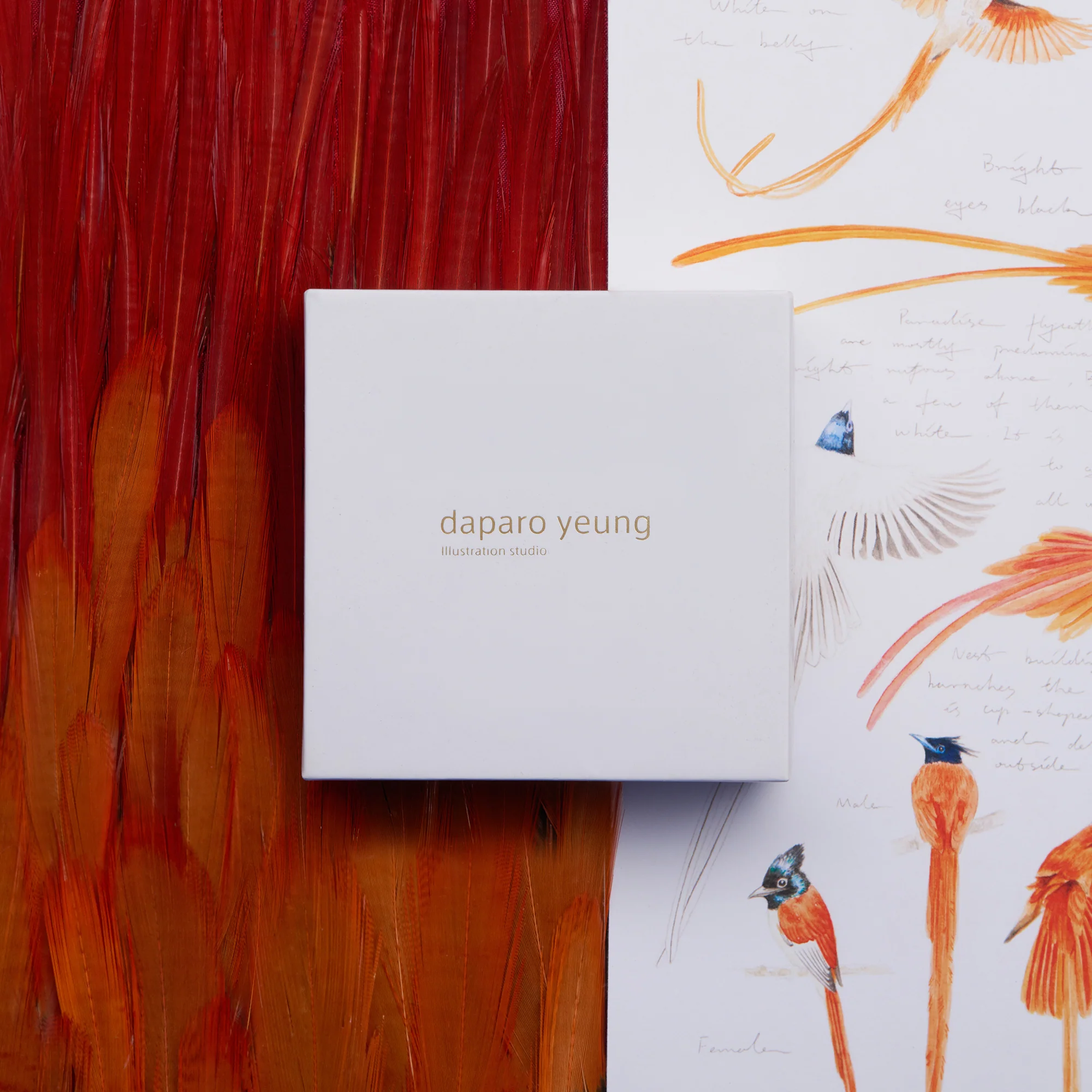 daparo Enamel Pins "Indian Paradise Flycatcher" - Image 6