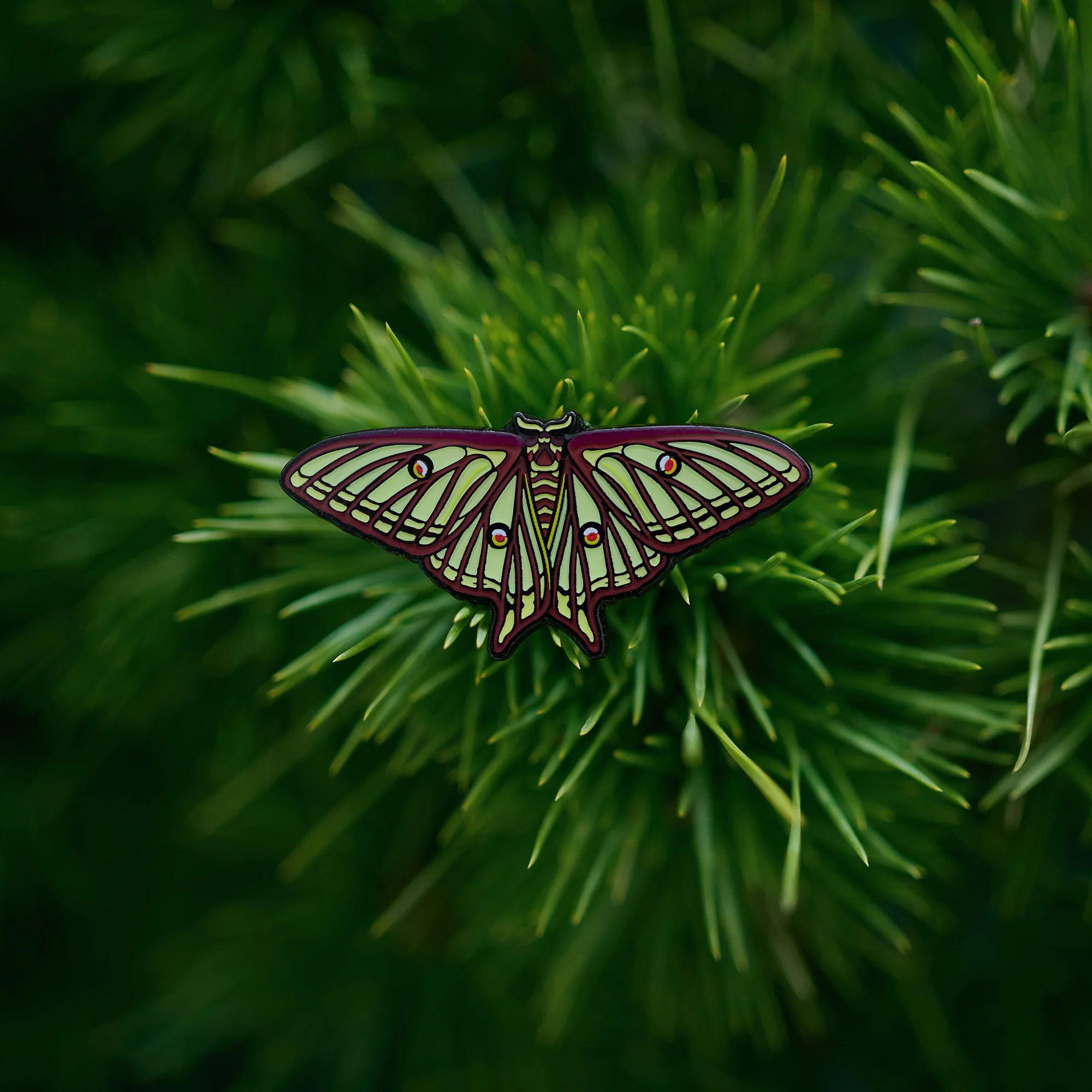 daparo Glow-in-the-Dark Enamel Pins "Spanish Moon Moth" - Image 10