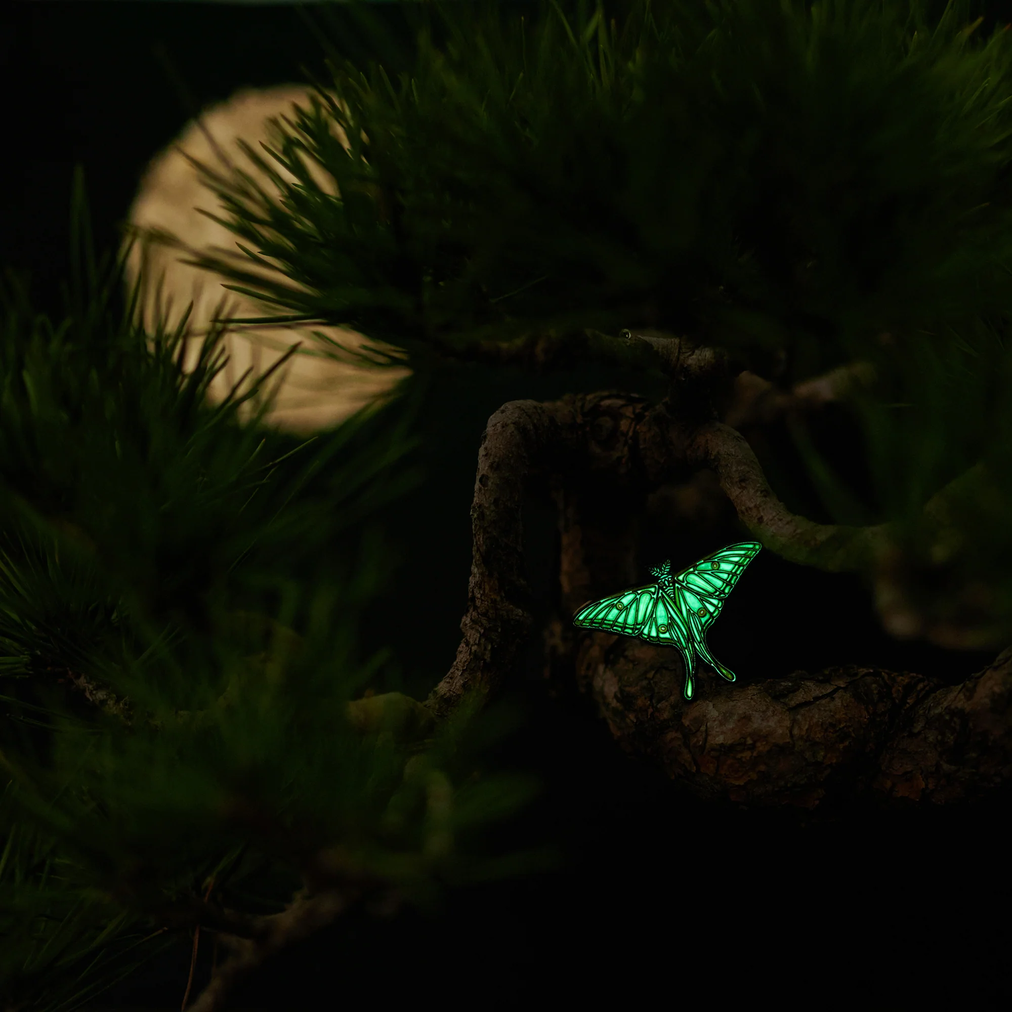 daparo Glow-in-the-Dark Enamel Pins "Spanish Moon Moth" - Image 7