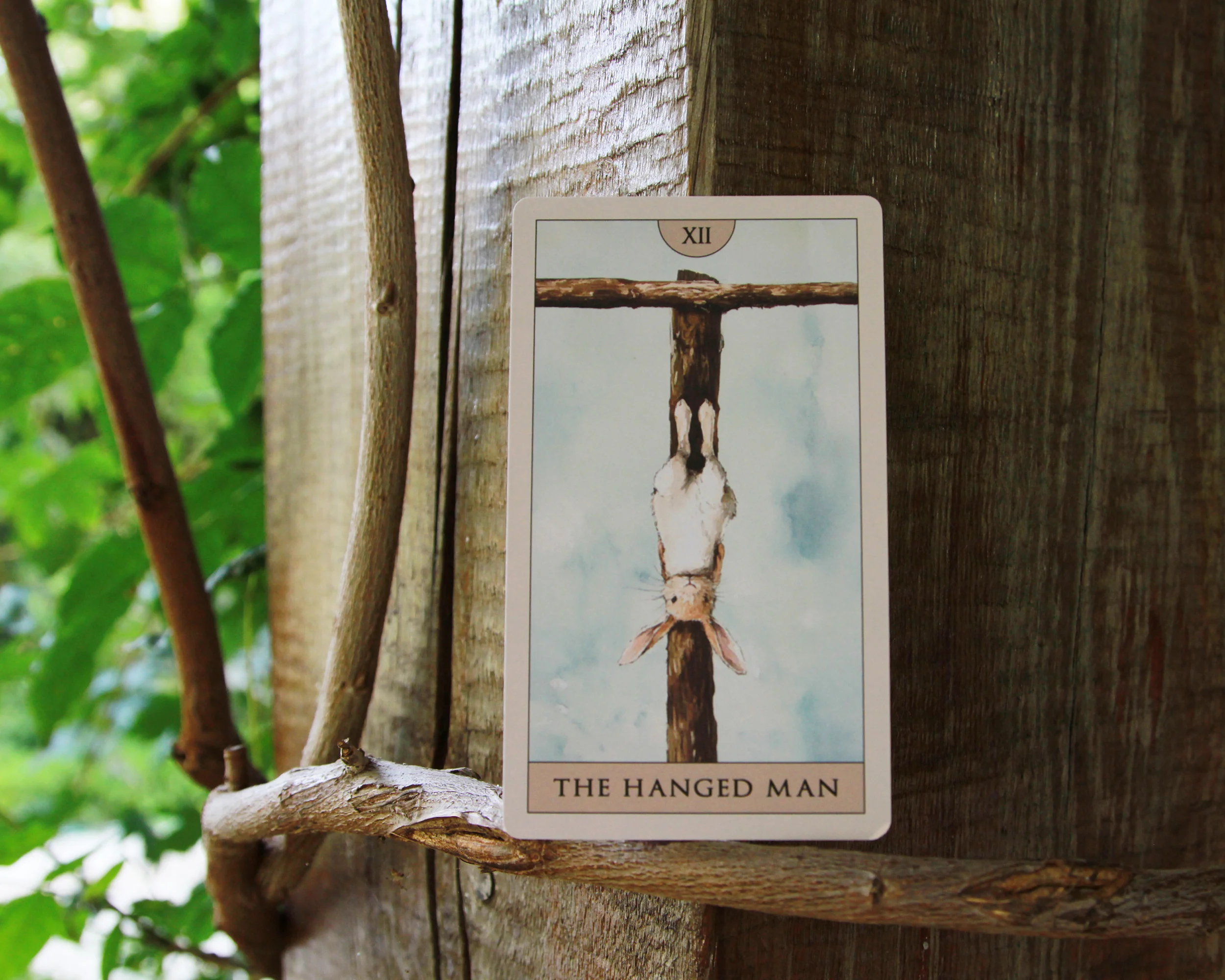 Rabbit Tarot - Image 15