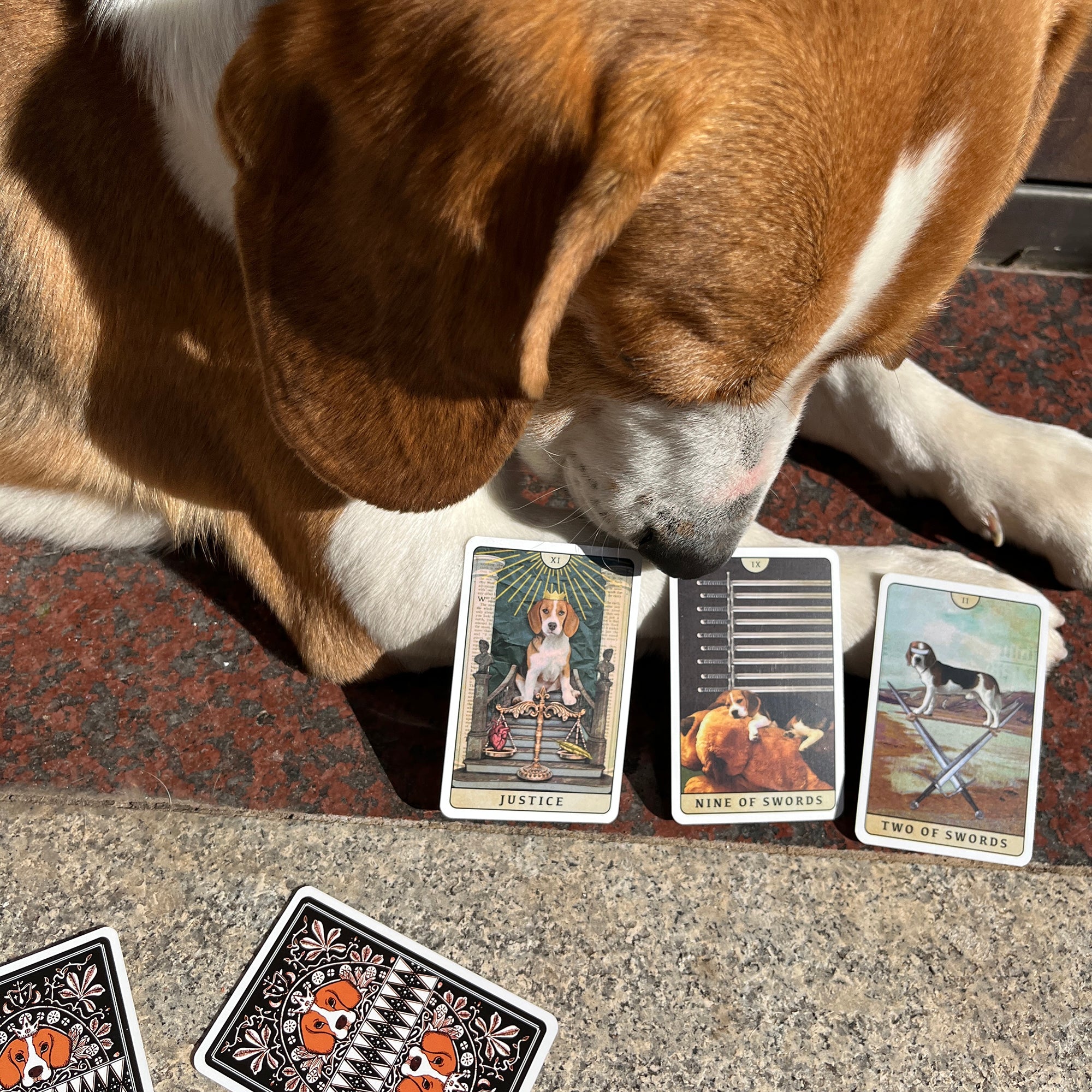 Tarot of Beagle Dogs - Image 2