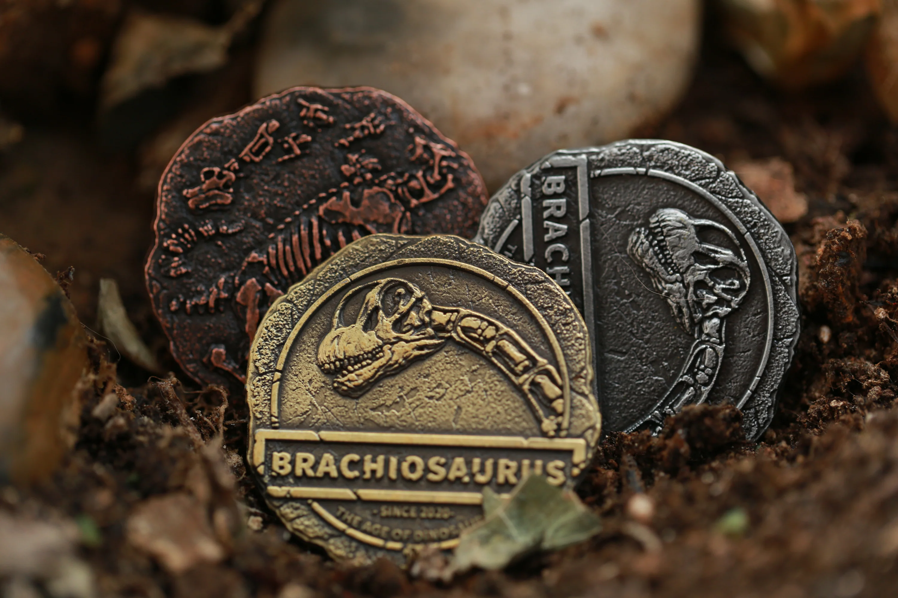 The Age of Dinosaurs Collectible Metal Coins - Image 4