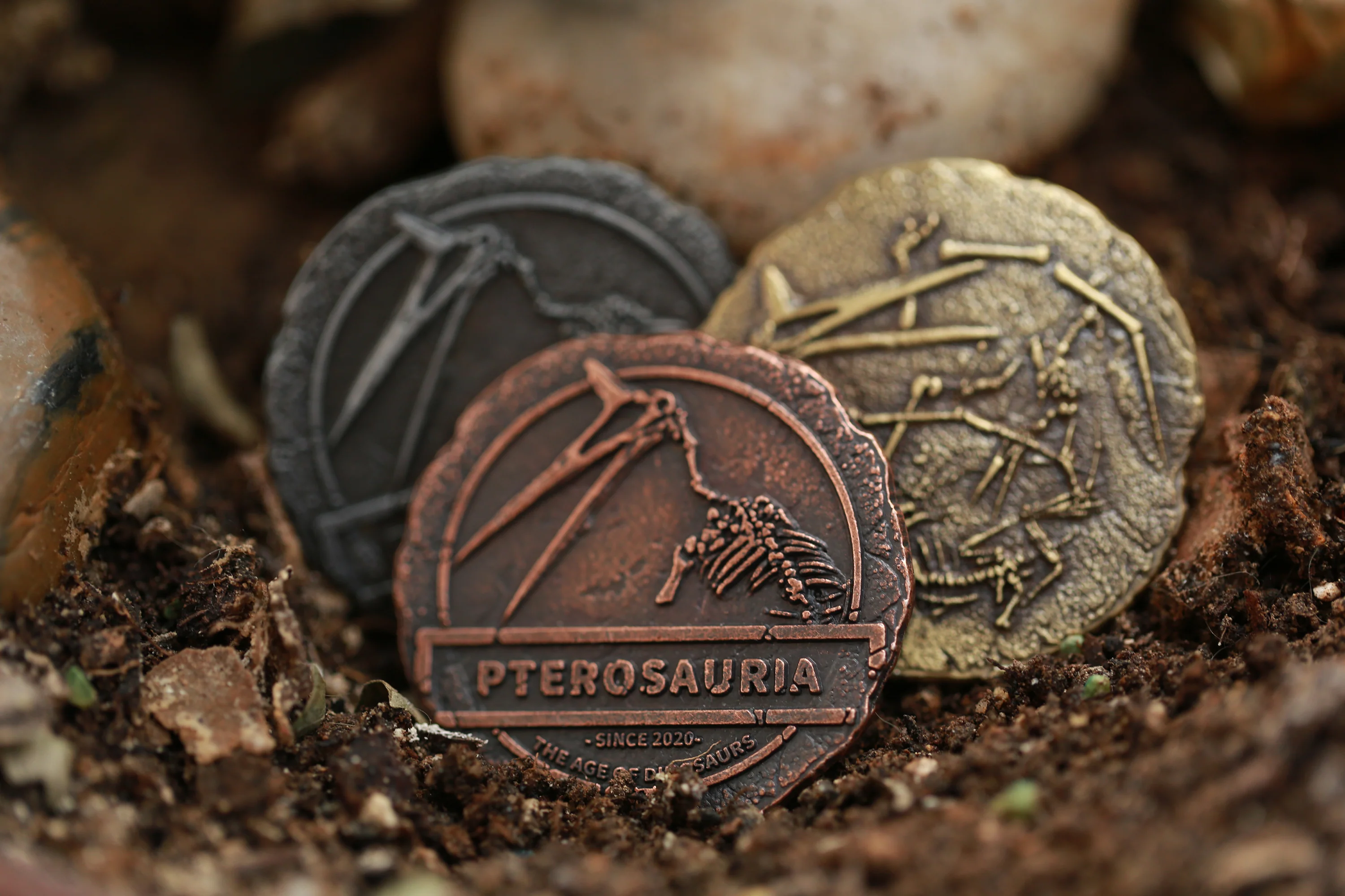The Age of Dinosaurs Collectible Metal Coins - Image 6