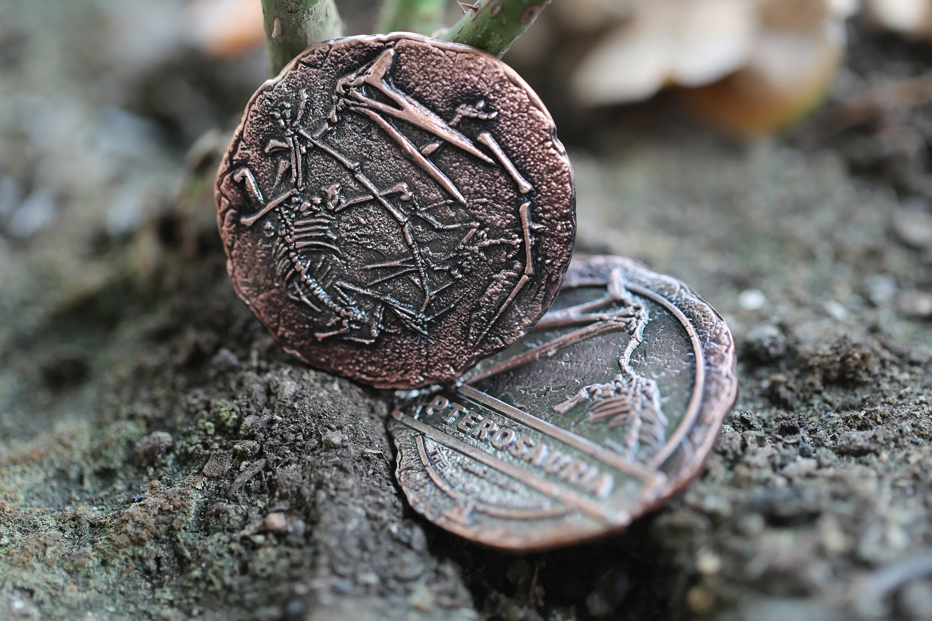 The Age of Dinosaurs Collectible Metal Coins - Image 7