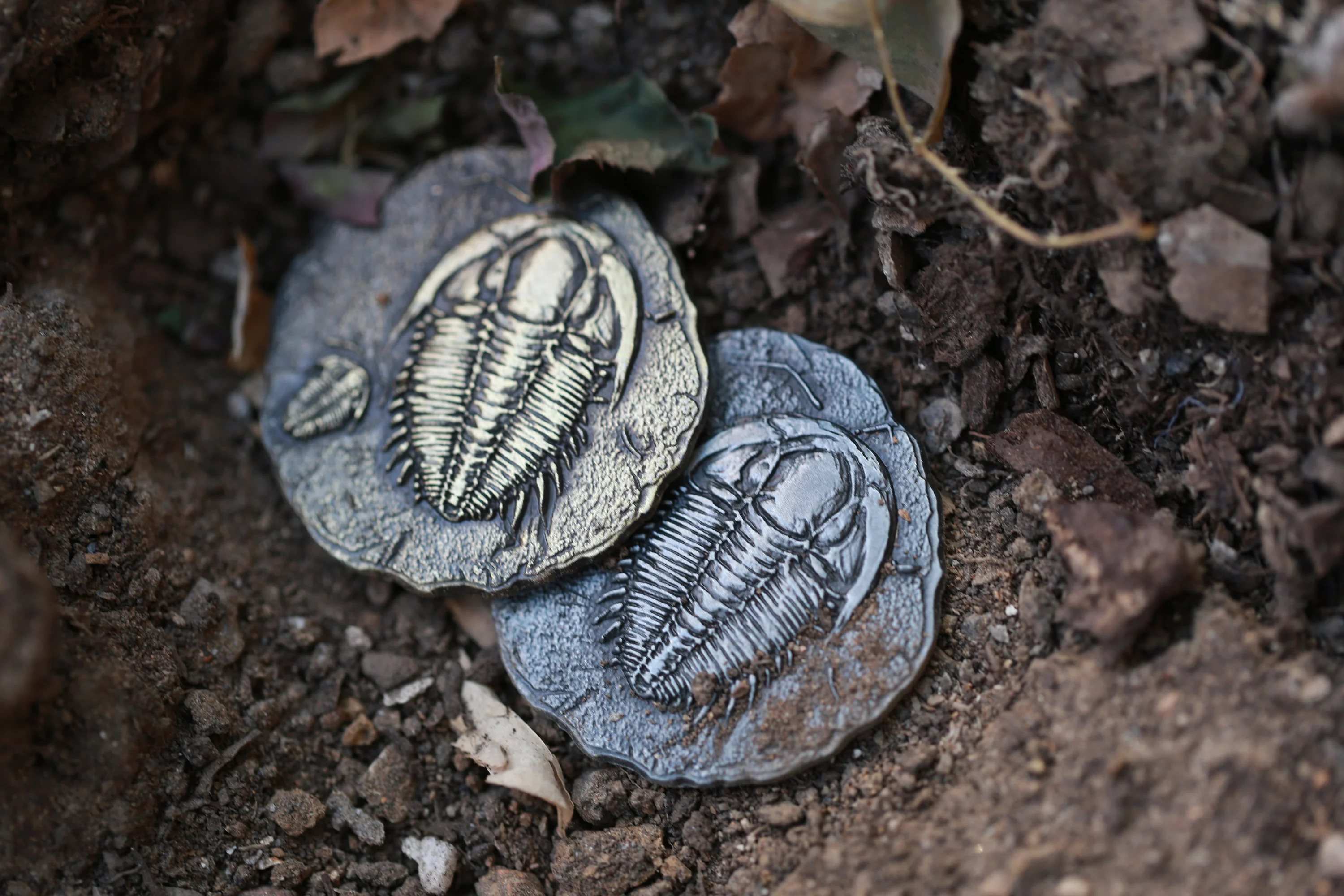 The Age of Dinosaurs Collectible Metal Coins - Image 9