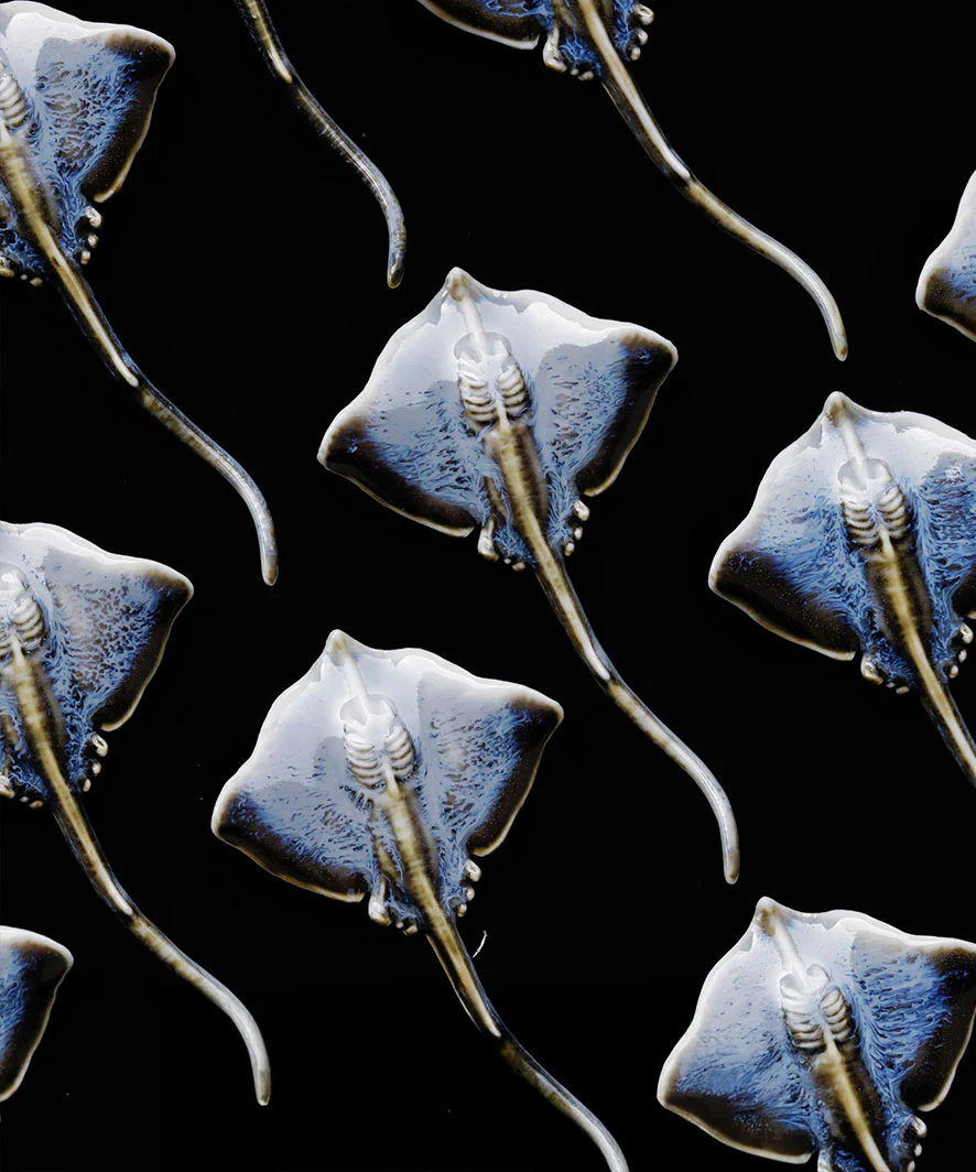 YIHE Ceramic Brooches "Batoids" - Image 16